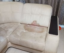 Химчистка четырехместного дивана